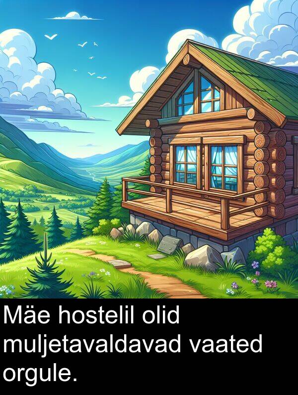 muljetavaldavad: Mäe hostelil olid muljetavaldavad vaated orgule.