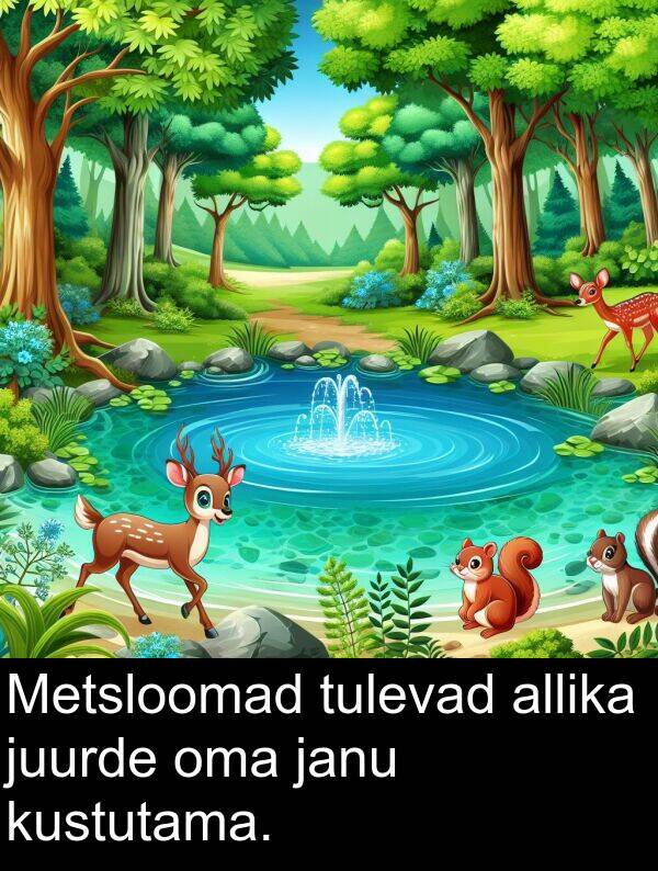 tulevad: Metsloomad tulevad allika juurde oma janu kustutama.