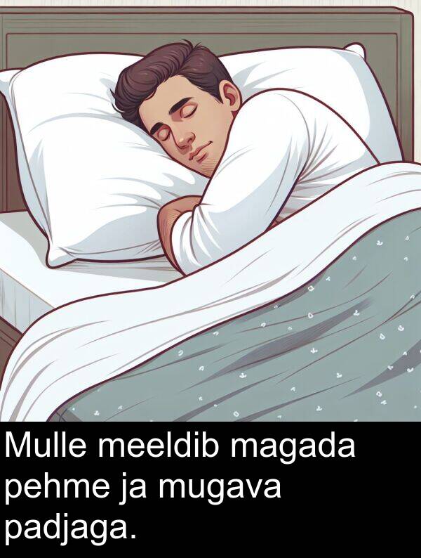 padjaga: Mulle meeldib magada pehme ja mugava padjaga.