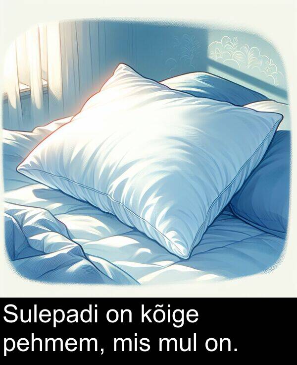 mis: Sulepadi on kõige pehmem, mis mul on.