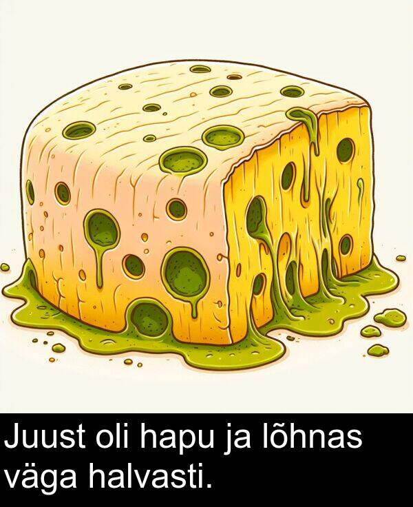 lõhnas: Juust oli hapu ja lõhnas väga halvasti.