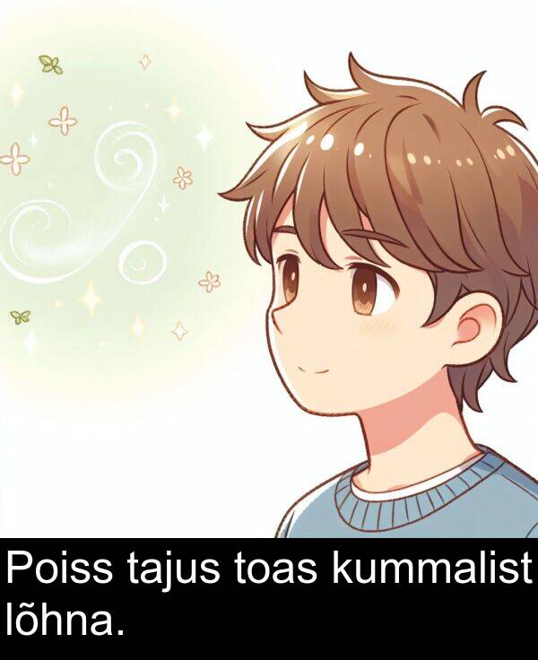 lõhna: Poiss tajus toas kummalist lõhna.