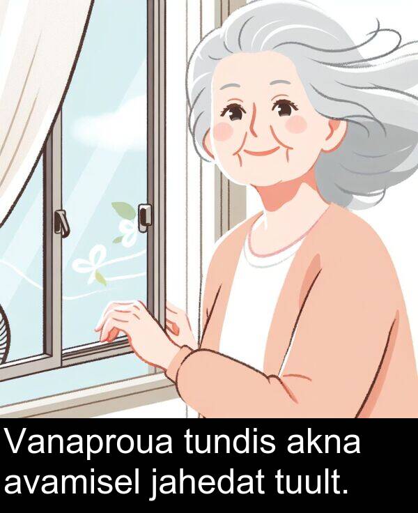 tuult: Vanaproua tundis akna avamisel jahedat tuult.