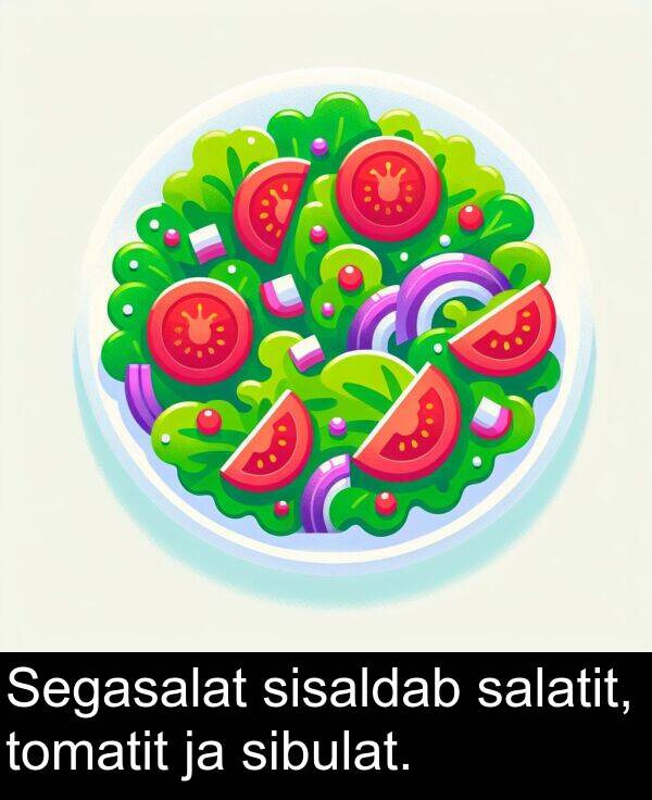 tomatit: Segasalat sisaldab salatit, tomatit ja sibulat.