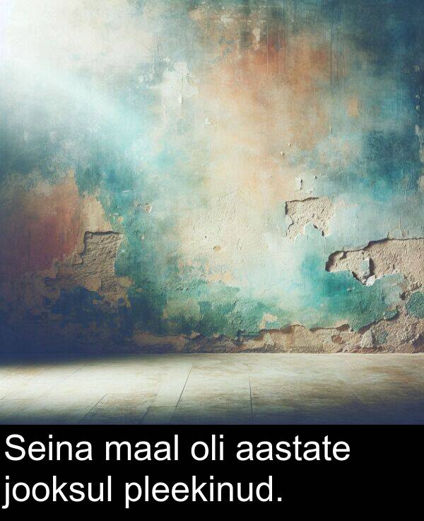 pleekinud: Seina maal oli aastate jooksul pleekinud.