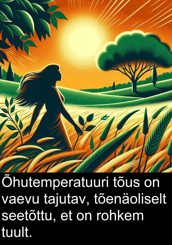 tuult: Õhutemperatuuri tõus on vaevu tajutav, tõenäoliselt seetõttu, et on rohkem tuult.