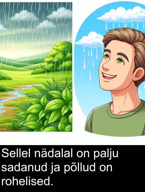 rohelised: Sellel nädalal on palju sadanud ja põllud on rohelised.