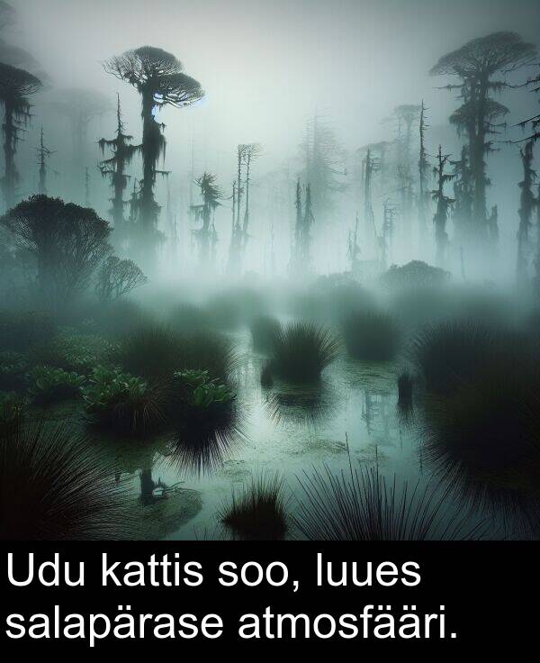 luues: Udu kattis soo, luues salapärase atmosfääri.