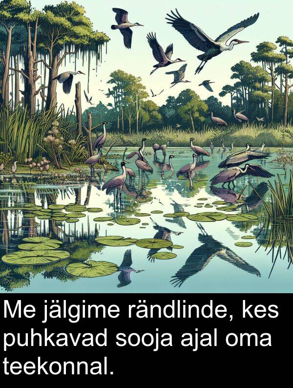 rändlinde: Me jälgime rändlinde, kes puhkavad sooja ajal oma teekonnal.