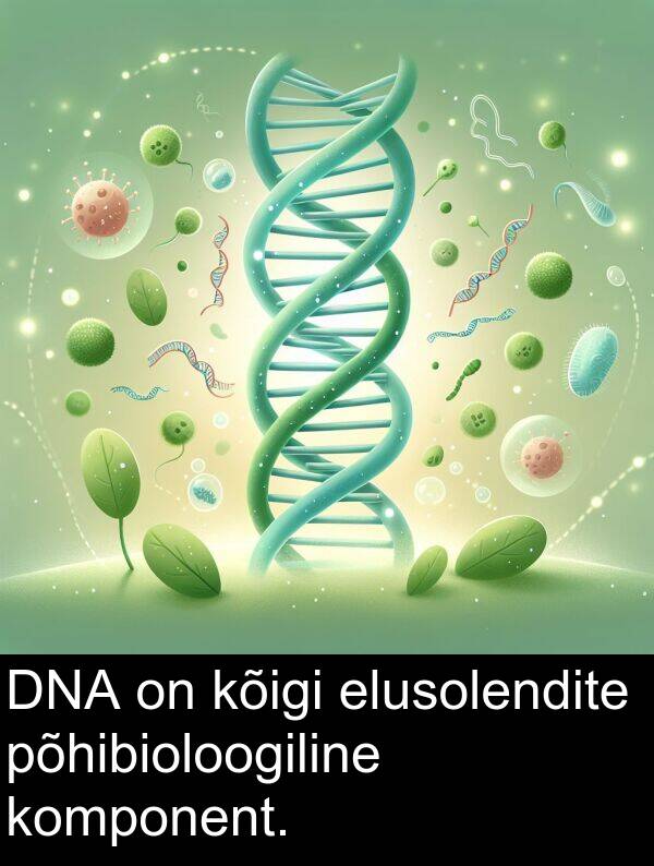 põhibioloogiline: DNA on kõigi elusolendite põhibioloogiline komponent.