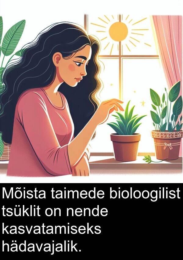 hädavajalik: Mõista taimede bioloogilist tsüklit on nende kasvatamiseks hädavajalik.