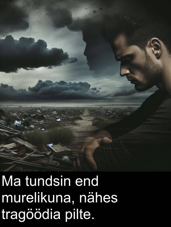tundsin: Ma tundsin end murelikuna, nähes tragöödia pilte.