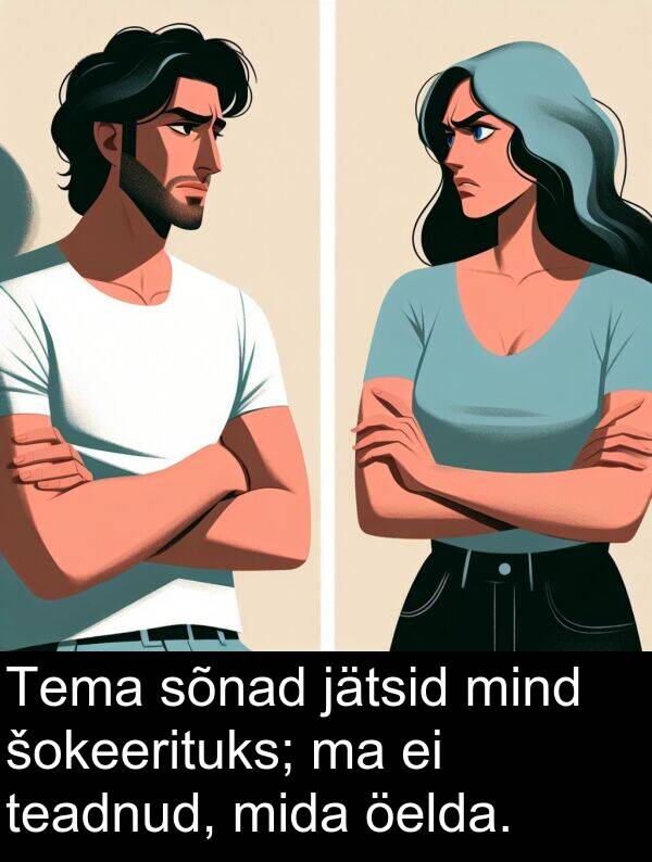 jätsid: Tema sõnad jätsid mind šokeerituks; ma ei teadnud, mida öelda.