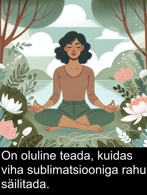 kuidas: On oluline teada, kuidas viha sublimatsiooniga rahu säilitada.