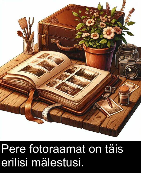 fotoraamat: Pere fotoraamat on täis erilisi mälestusi.