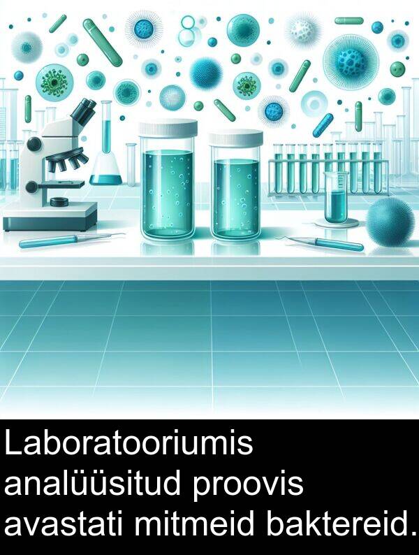 mitmeid: Laboratooriumis analüüsitud proovis avastati mitmeid baktereid.