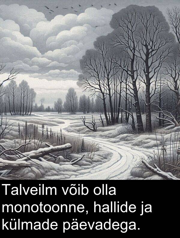 monotoonne: Talveilm võib olla monotoonne, hallide ja külmade päevadega.