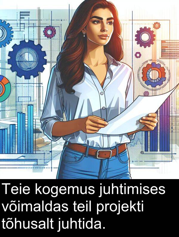 kogemus: Teie kogemus juhtimises võimaldas teil projekti tõhusalt juhtida.