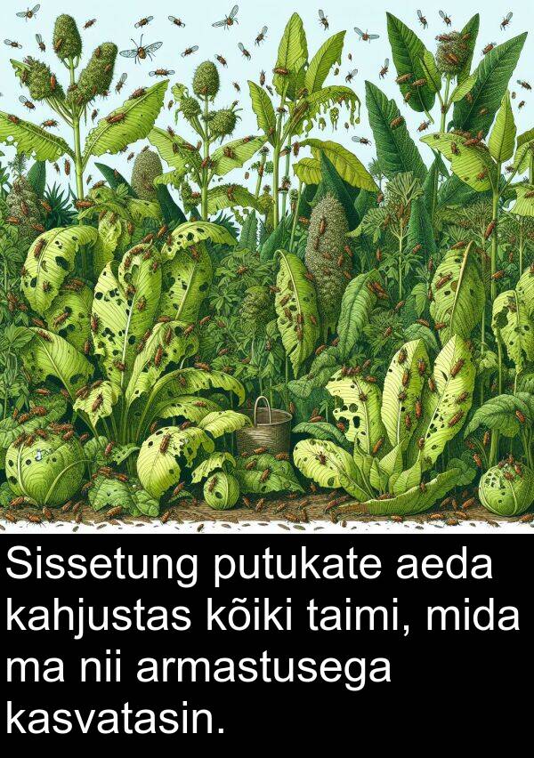 putukate: Sissetung putukate aeda kahjustas kõiki taimi, mida ma nii armastusega kasvatasin.