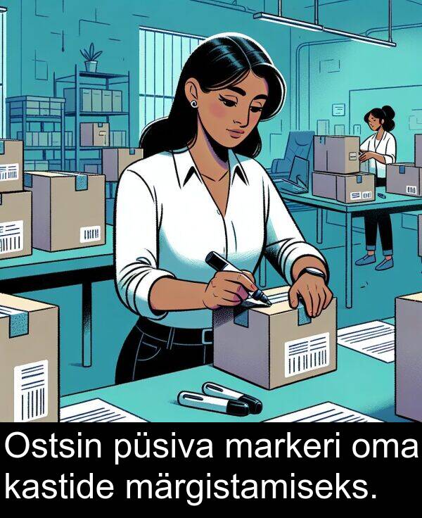 märgistamiseks: Ostsin püsiva markeri oma kastide märgistamiseks.