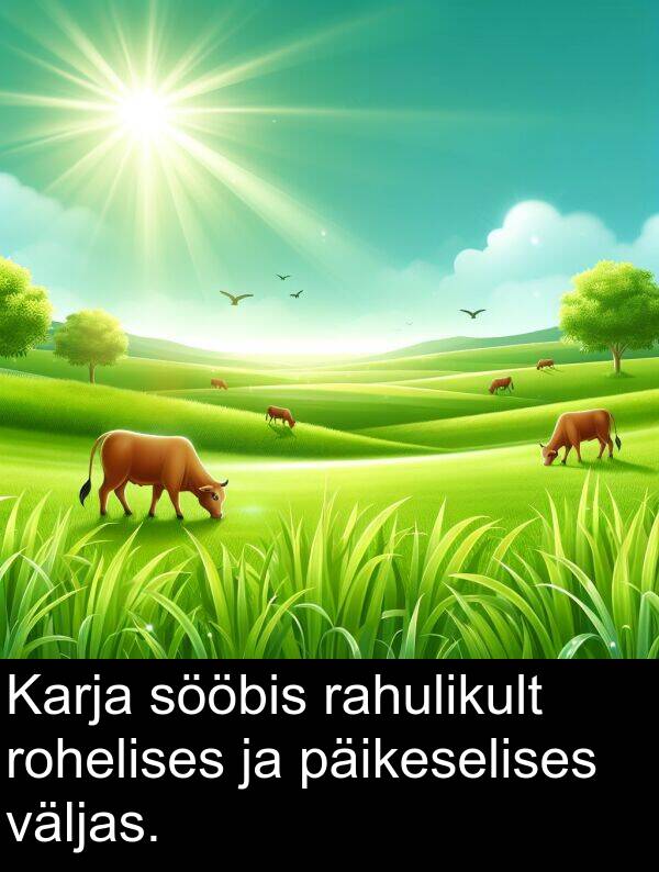 väljas: Karja sööbis rahulikult rohelises ja päikeselises väljas.