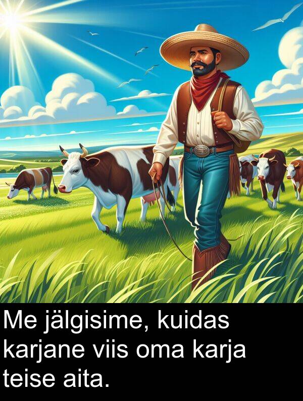 kuidas: Me jälgisime, kuidas karjane viis oma karja teise aita.