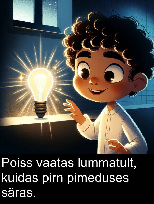 kuidas: Poiss vaatas lummatult, kuidas pirn pimeduses säras.