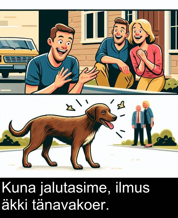 jalutasime: Kuna jalutasime, ilmus äkki tänavakoer.