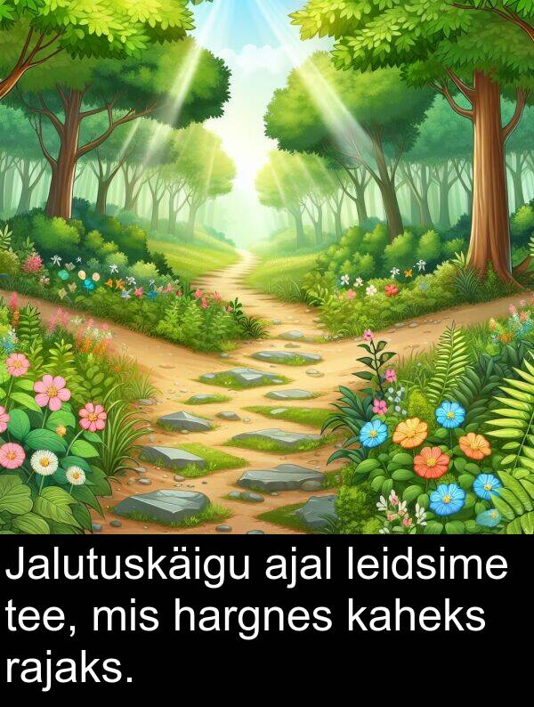 tee: Jalutuskäigu ajal leidsime tee, mis hargnes kaheks rajaks.