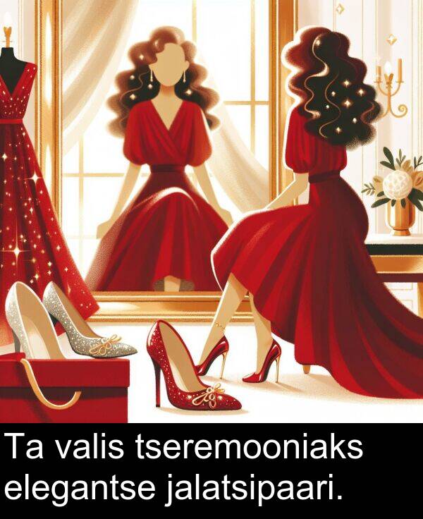 jalatsipaari: Ta valis tseremooniaks elegantse jalatsipaari.