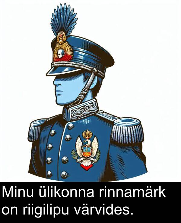 riigilipu: Minu ülikonna rinnamärk on riigilipu värvides.