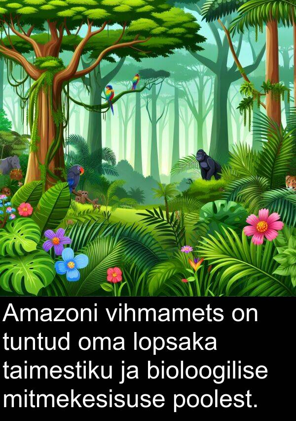 mitmekesisuse: Amazoni vihmamets on tuntud oma lopsaka taimestiku ja bioloogilise mitmekesisuse poolest.