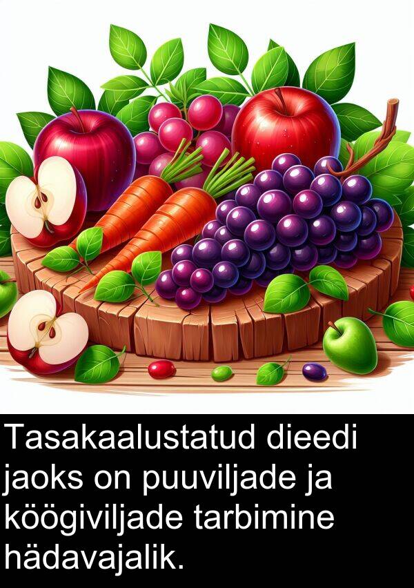 hädavajalik: Tasakaalustatud dieedi jaoks on puuviljade ja köögiviljade tarbimine hädavajalik.