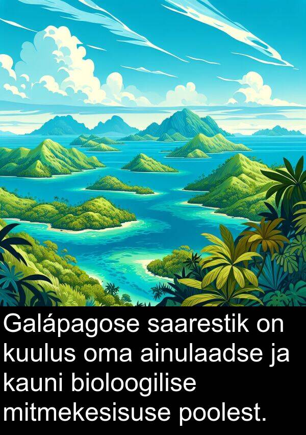 saarestik: Galápagose saarestik on kuulus oma ainulaadse ja kauni bioloogilise mitmekesisuse poolest.