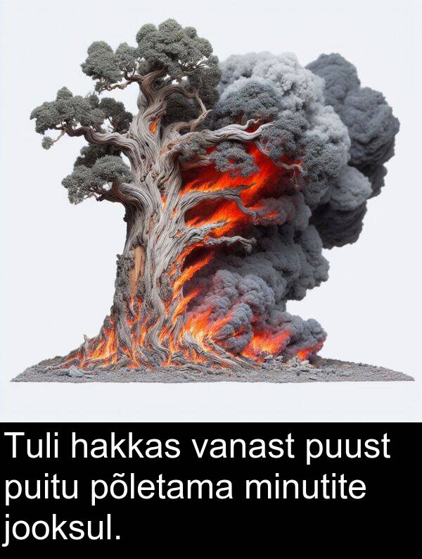 minutite: Tuli hakkas vanast puust puitu põletama minutite jooksul.