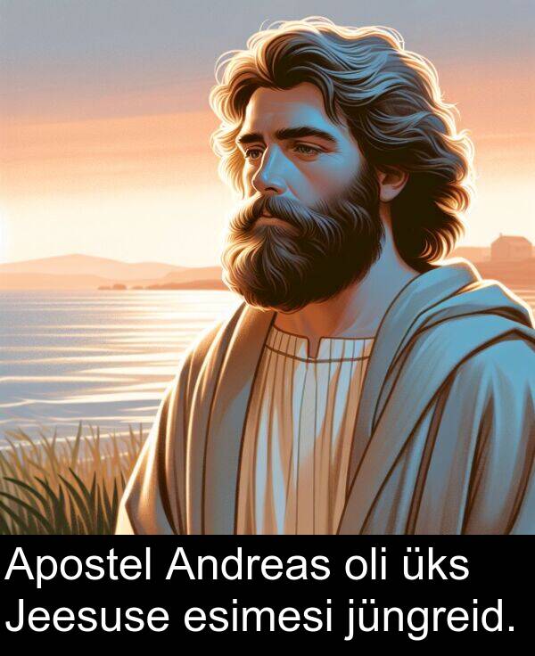 esimesi: Apostel Andreas oli üks Jeesuse esimesi jüngreid.