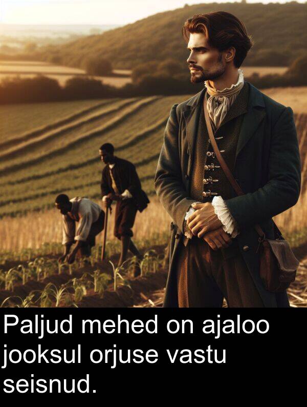orjuse: Paljud mehed on ajaloo jooksul orjuse vastu seisnud.