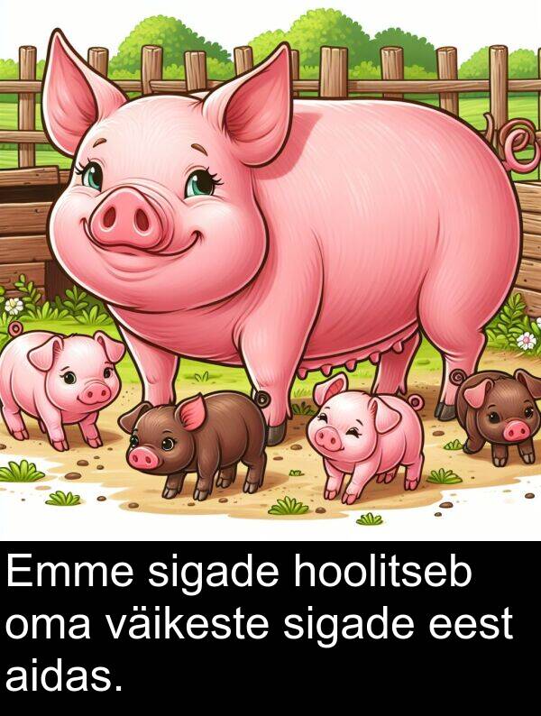 väikeste: Emme sigade hoolitseb oma väikeste sigade eest aidas.
