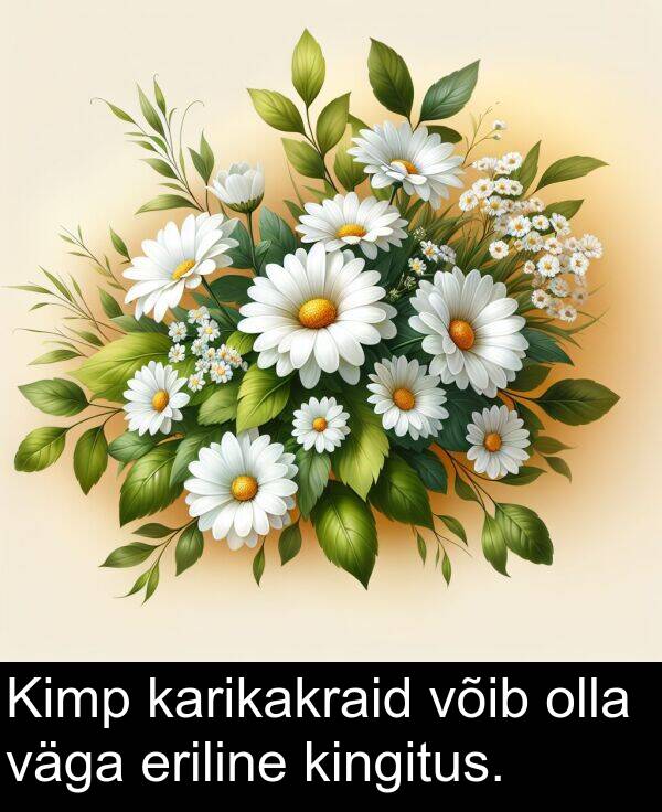 eriline: Kimp karikakraid võib olla väga eriline kingitus.