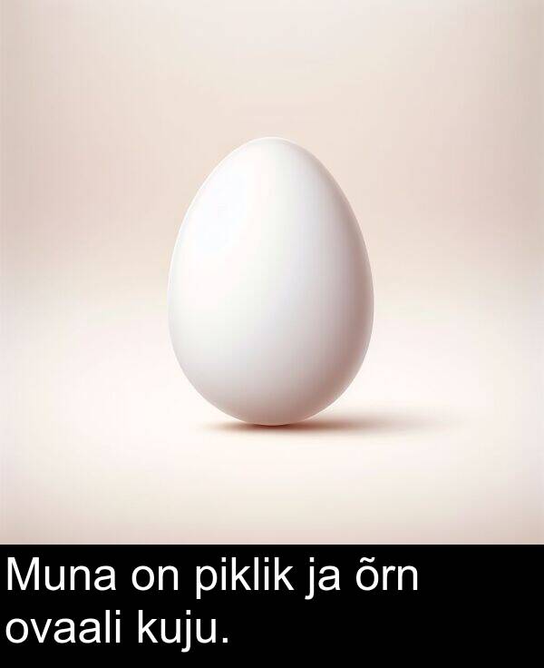 kuju: Muna on piklik ja õrn ovaali kuju.