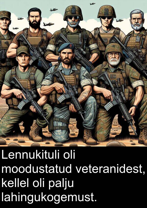 lahingukogemust: Lennukituli oli moodustatud veteranidest, kellel oli palju lahingukogemust.