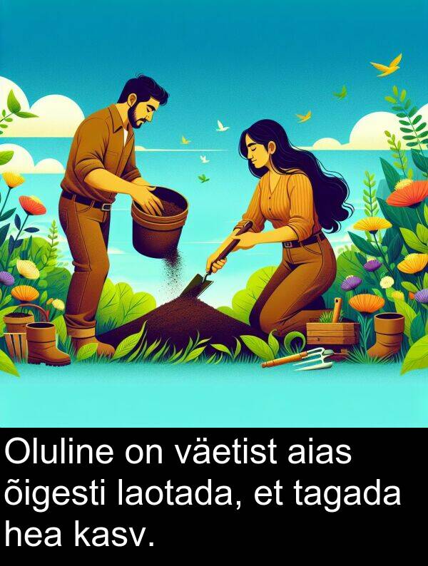 väetist: Oluline on väetist aias õigesti laotada, et tagada hea kasv.