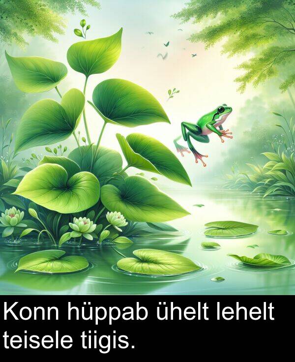 hüppab: Konn hüppab ühelt lehelt teisele tiigis.