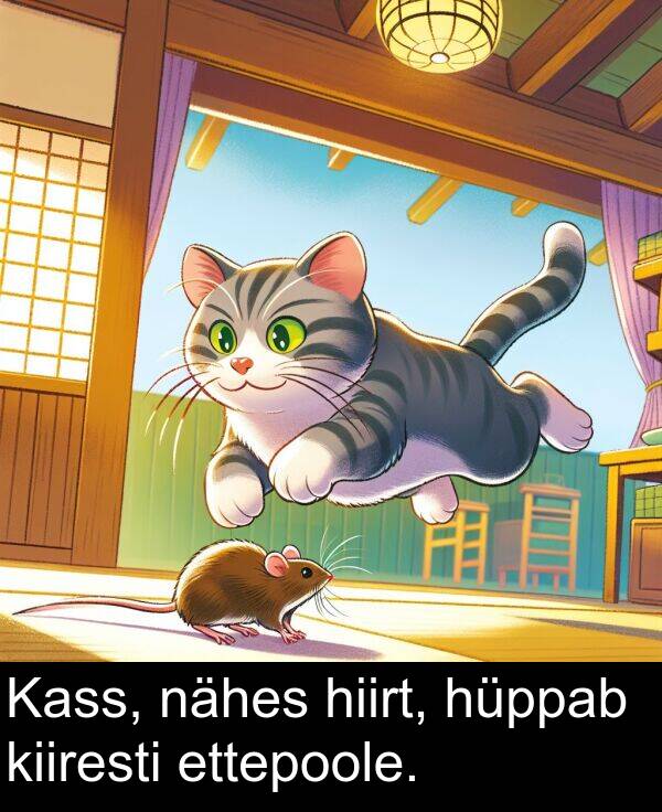 hüppab: Kass, nähes hiirt, hüppab kiiresti ettepoole.