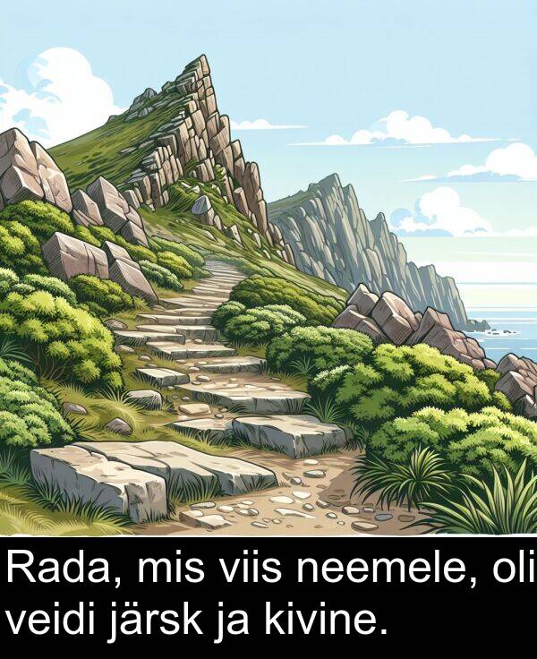 veidi: Rada, mis viis neemele, oli veidi järsk ja kivine.