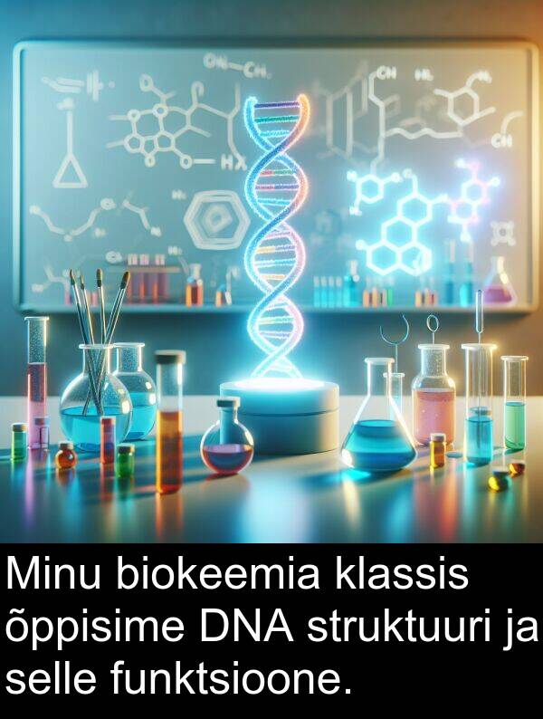 struktuuri: Minu biokeemia klassis õppisime DNA struktuuri ja selle funktsioone.