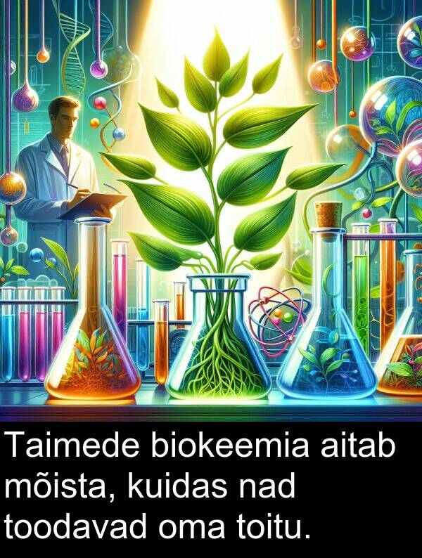 mõista: Taimede biokeemia aitab mõista, kuidas nad toodavad oma toitu.