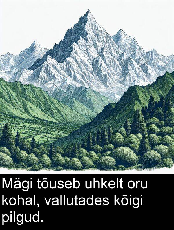 oru: Mägi tõuseb uhkelt oru kohal, vallutades kõigi pilgud.