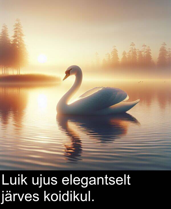 elegantselt: Luik ujus elegantselt järves koidikul.