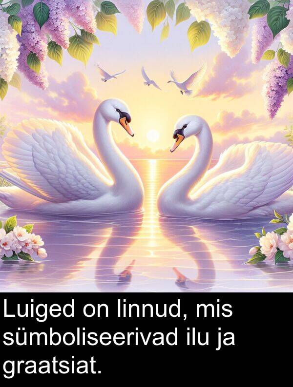 graatsiat: Luiged on linnud, mis sümboliseerivad ilu ja graatsiat.